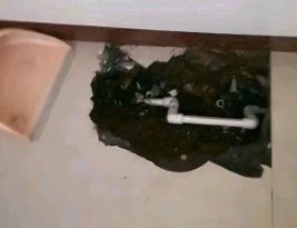 疏勒卫生间测漏水多少钱